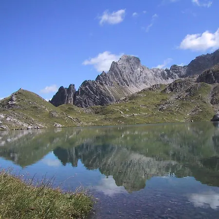 Alpenrose